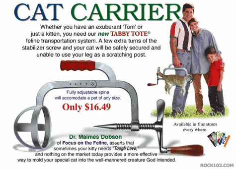 www.lolriot.com/wp-content/uploads/2011/06/Cat-Carrier.gif