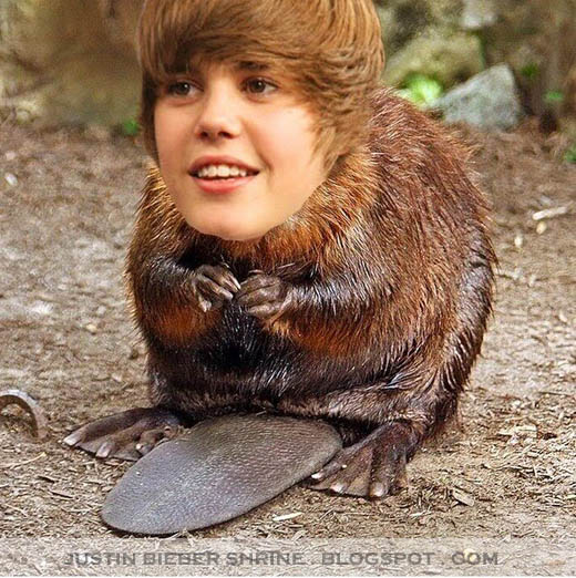 Beaver Bieber Shirt