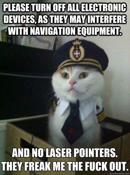 Pilot-Cat-Meme.jpg