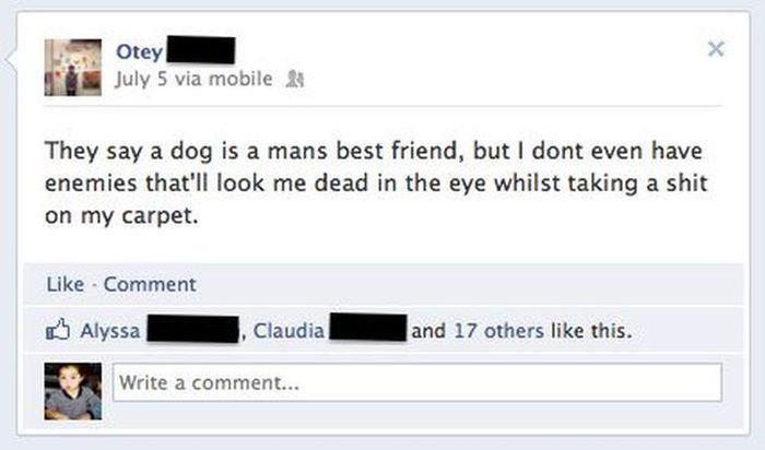 Funny Facebook Status They Say A Dog Is A Mans Best Friend Poop On Carpet